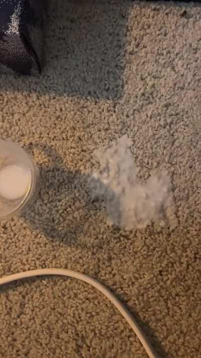 Tell me in 2 words what you will do to me step bro