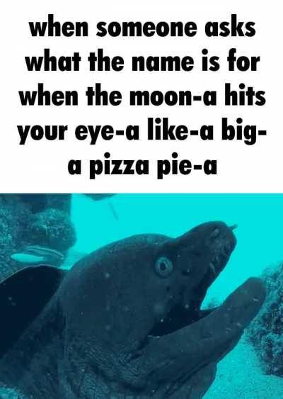 I think I've had too much wine.