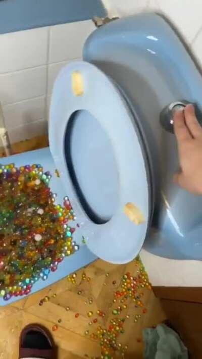 HTDYL allowing orbeez to become the primary leaseholder of your house