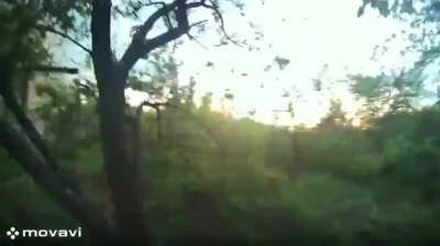 Ukrainian soldiers survived a Russian FPV drone strike thanks to their quick reaction. Donetsk Region. [Published 29.05.2025]