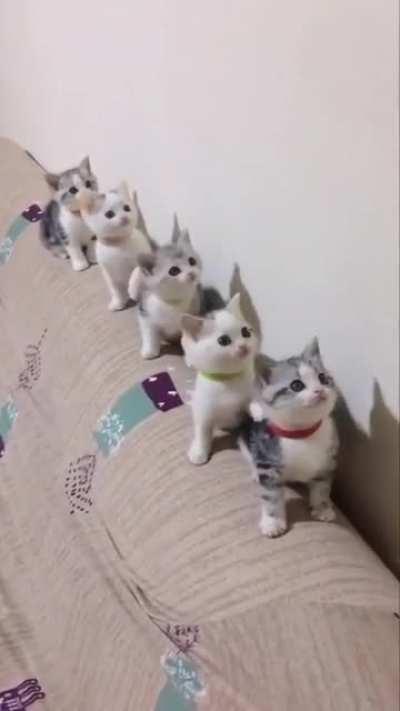 I can watch them all day long...