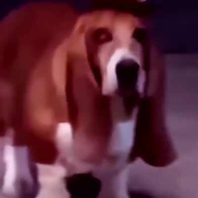 I wanted to bring this gem back