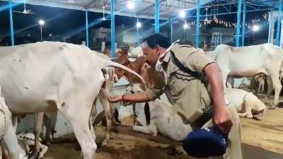 It's only Medishan..