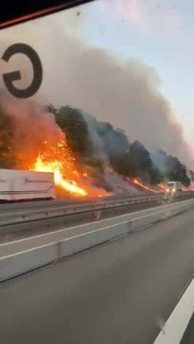 Waldbrand an der A7 bei Göttingen/Kassel