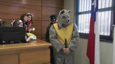 Juicio a furro en Valdivia