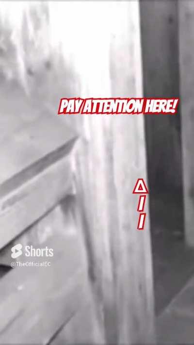 What Was Creeping on Me?!?! 😬