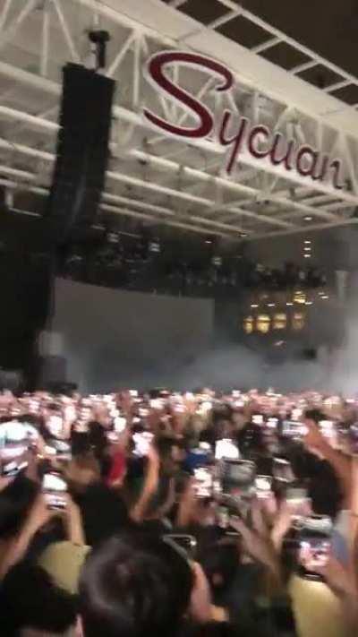 One of the most loyal, most dedicated fanbases I've seen in a while