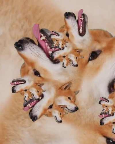 “Even the bread is fractal” -@tofupupper