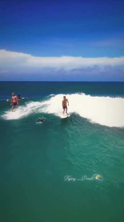 The more you watch the better it gets