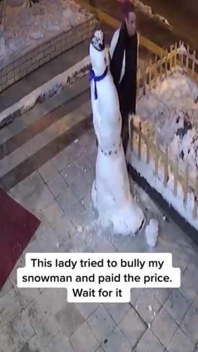 Karen vs snowman