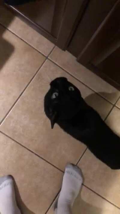 He’s mad I’m cooking and not giving him attention.