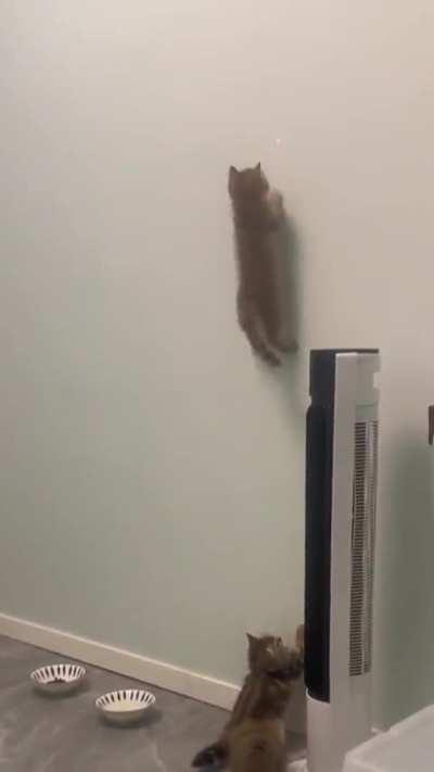 This One Is Built Different