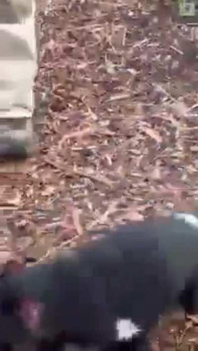 A volunteer at a wildlife sanctuary eventually saved a phone that fell into the enclosure of a Tasmanian devil, but not without some difficulty.