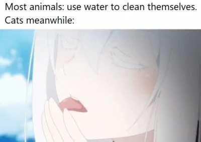 I could watch this all day.