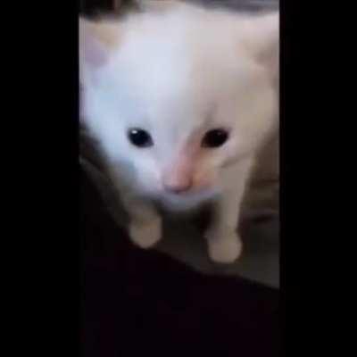 Herbert remembers the old Borderline...