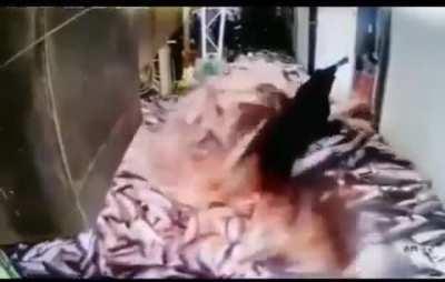 The flood gates have been opened