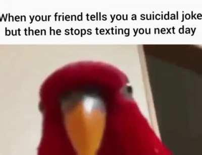 I have several questions