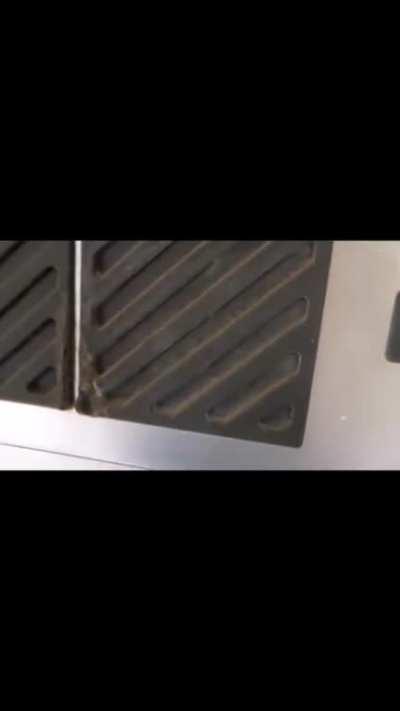 POV normalster OkBrudiMongo Nutzer