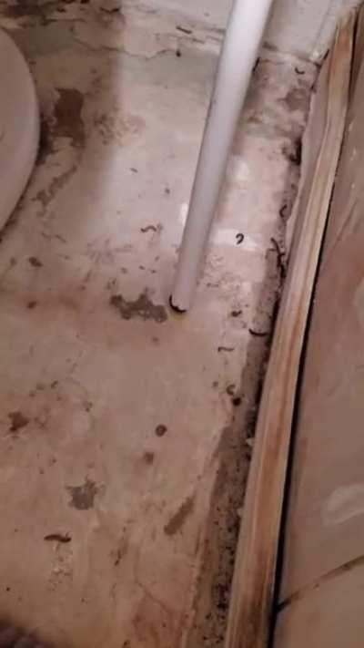 Cursed AirBnB part 2 unfinished bathroom edition.