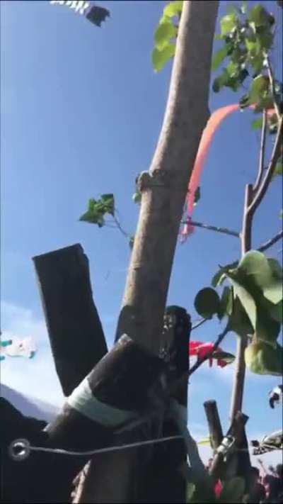 This has got Tom all over it