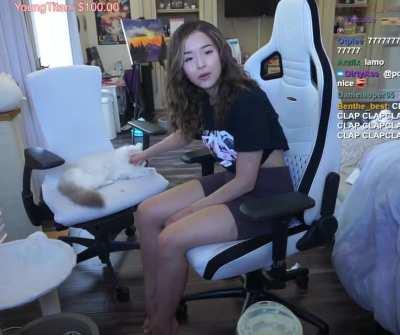 Ain’t no one looking at the cat