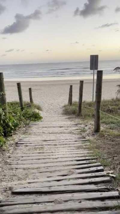 4:30am in Queensland: Summer is coming 😍