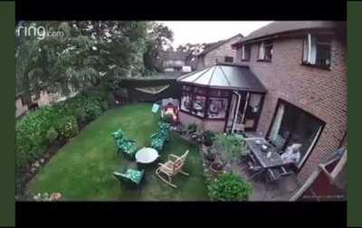 A nice relaxing nap in the garden