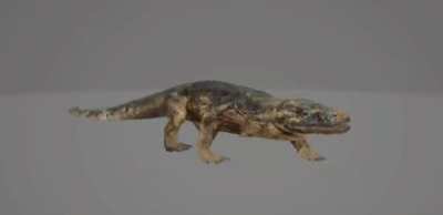 Megalania on the run 