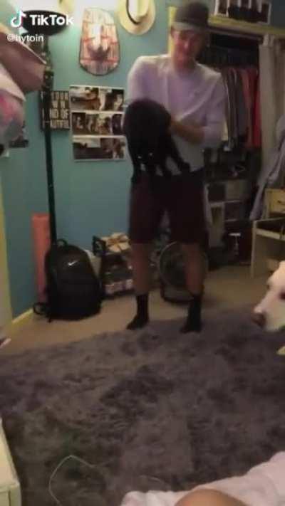 My cat people need me