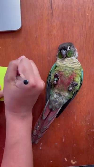 I found this great new model of pen holder!