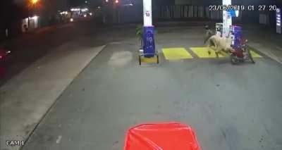 URGENTE: Apoiadores do presidente fazem vandalismo em Brasília