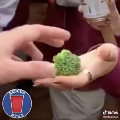 HMC ... And my broccoli?