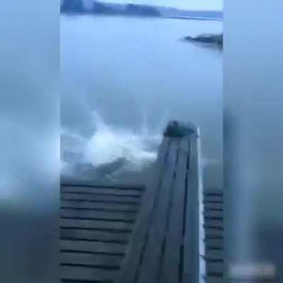 WCGW while trying to dive.