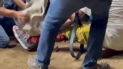 to go cock fighting.