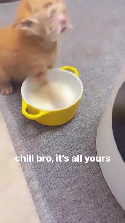 Wunk in milk