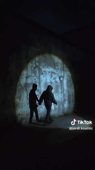 My shadow's is the only one that walks besides me