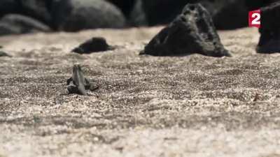 if u let me go I never beat ma meat again