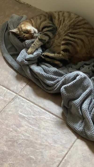 Towel doesn’t know what hit it