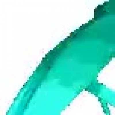 Heres a pride cockroach please give upvotes :)