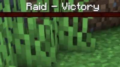 When you Finally find the Last Pillager