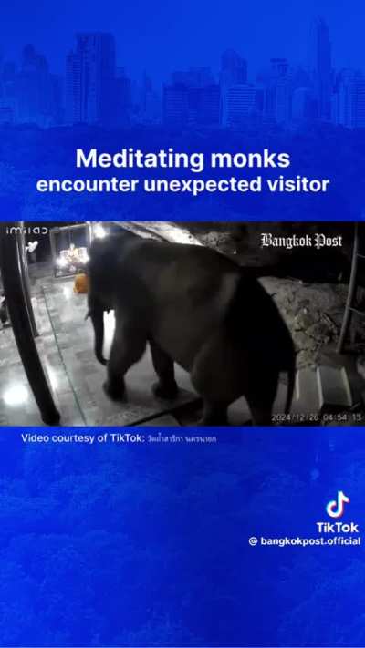 The elephant’s scream 😂