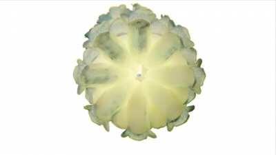 Take A Chance sounds amazing when reversed (thx JonathanRaue for the idea)