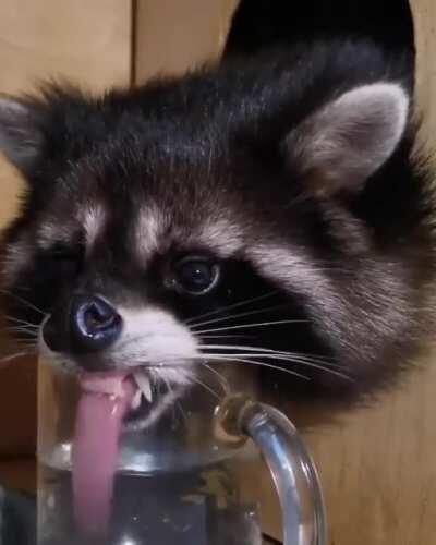 Just getting a lil drink