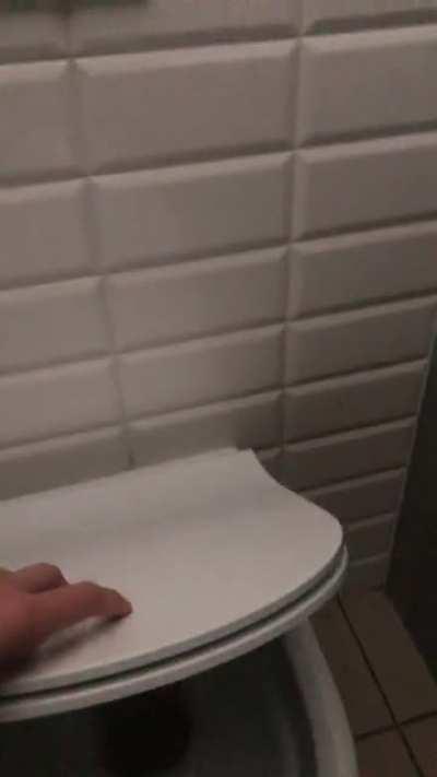 This happened to all the toilets in my school