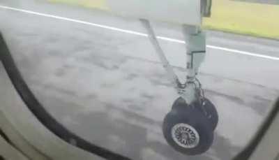 Airplane lands on Deer