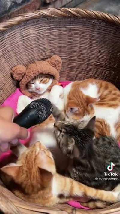 When you hear your own voice for the first time