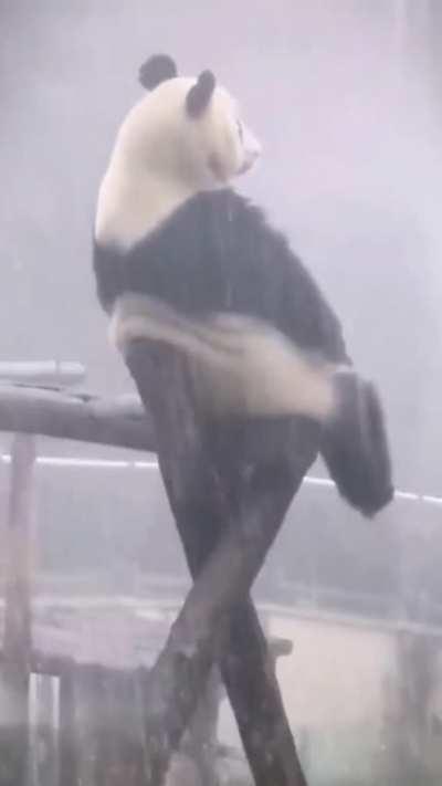 At peace mode,I wish I could be there with him to enjoy this moment...