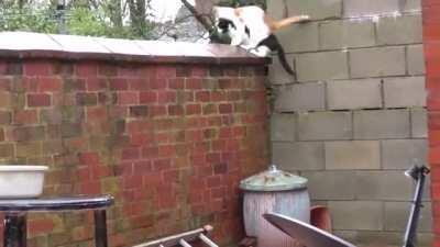Synchronised Parkour