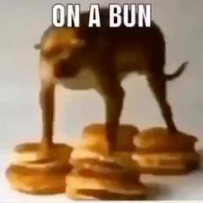 on a bun