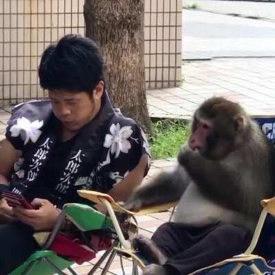 What secret must have the monkey heard